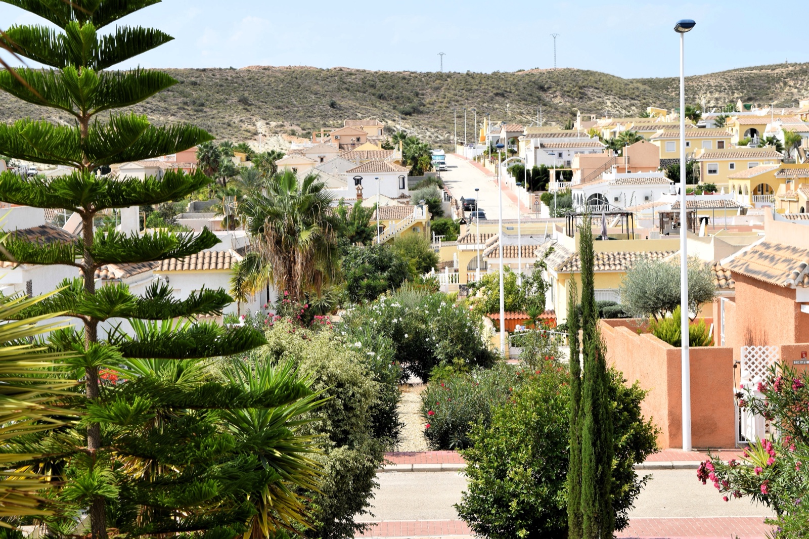 A leafy street in Camposol D sector