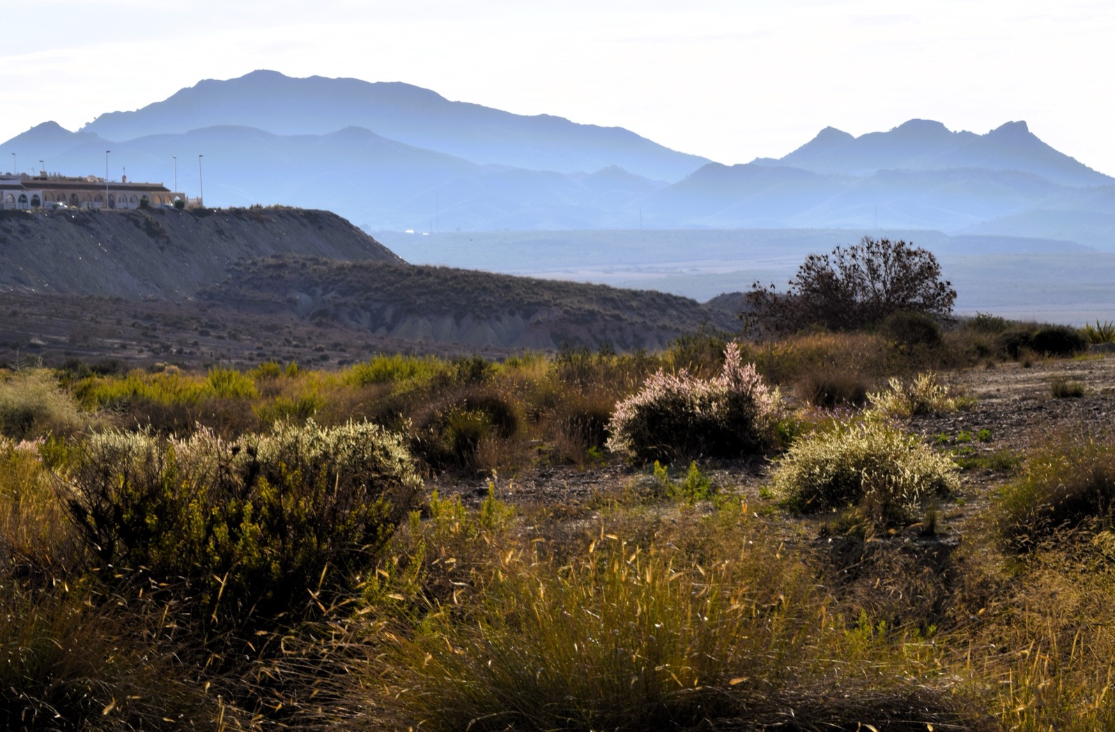 The Upper C sector of Camposol on its plateau with mountains beyond