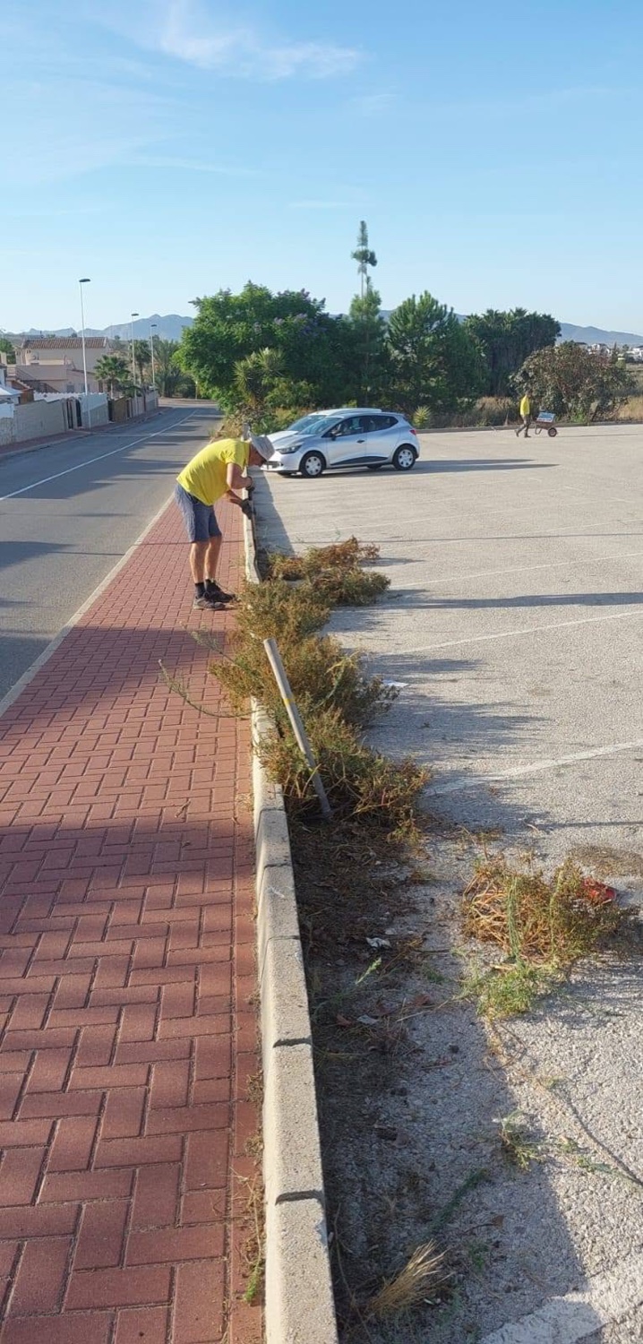 B Clean weeding the dual carriageway