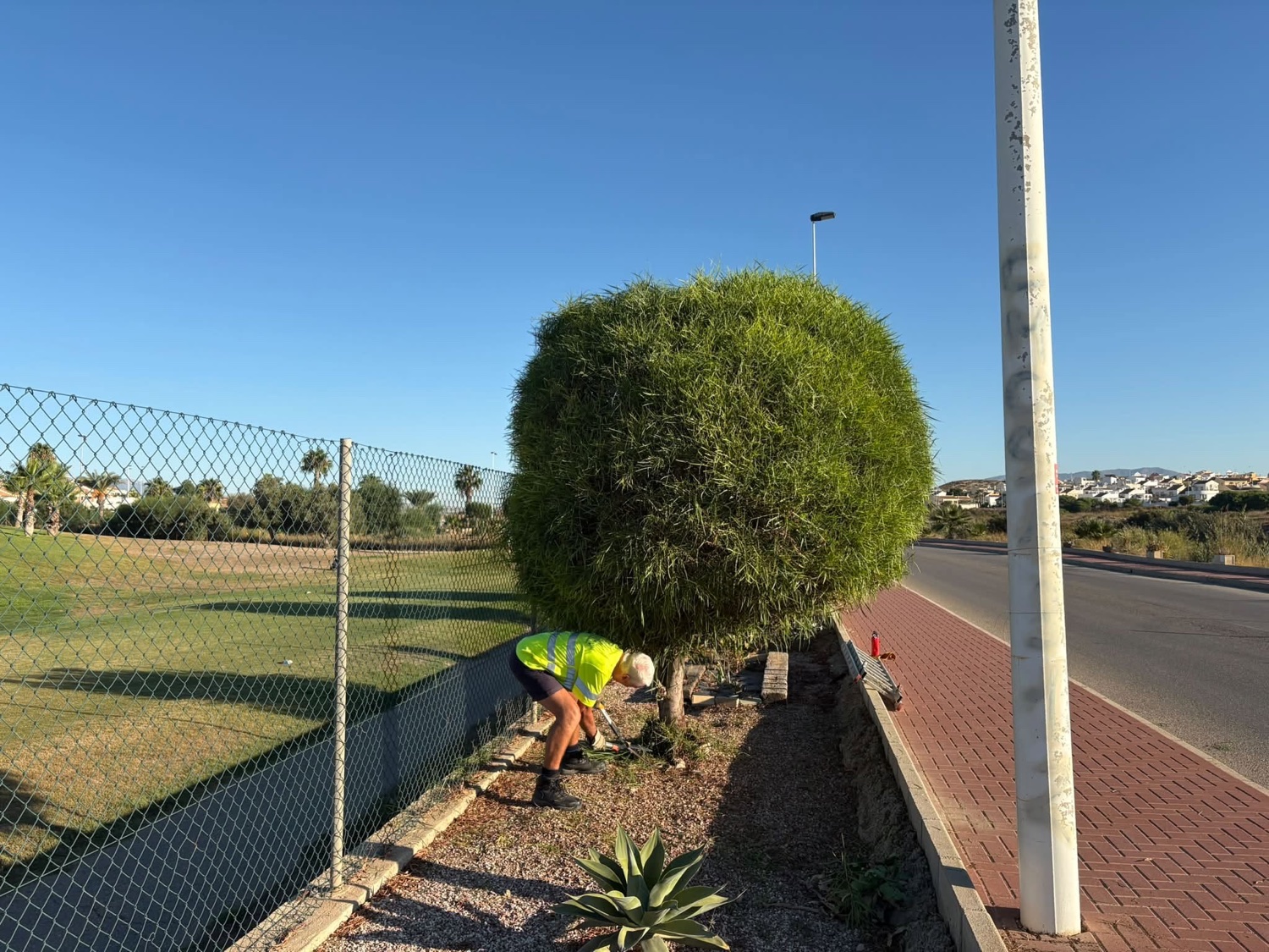 Green Fingers volunteer trimming a topiary in Sector C