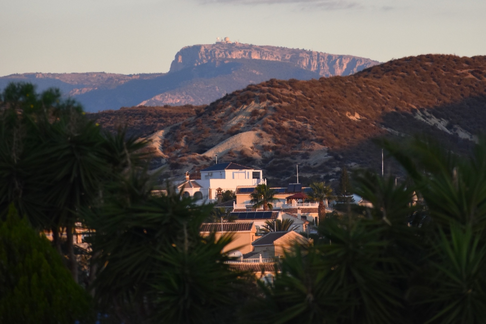 Camposol Sector D villas among palms with the Sierra Espuna mountains behind