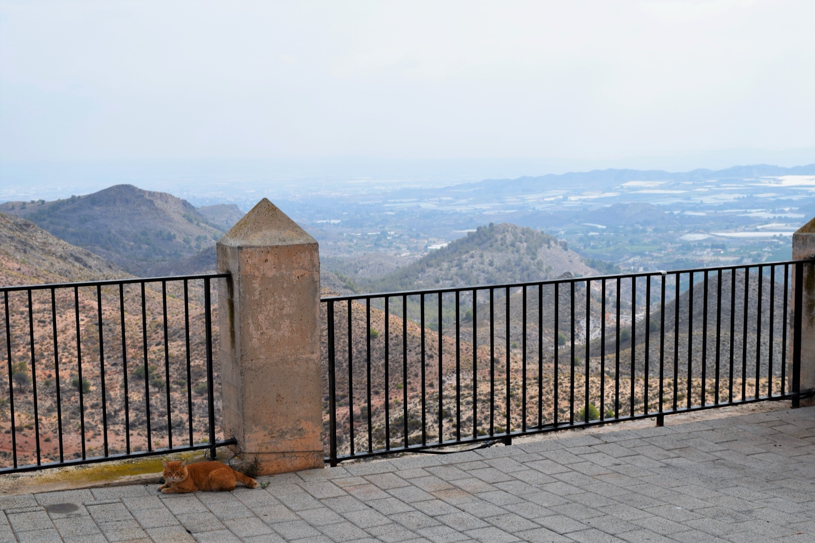 The view over the valley from the terrace at Aledo, with a ginger cat by the railing