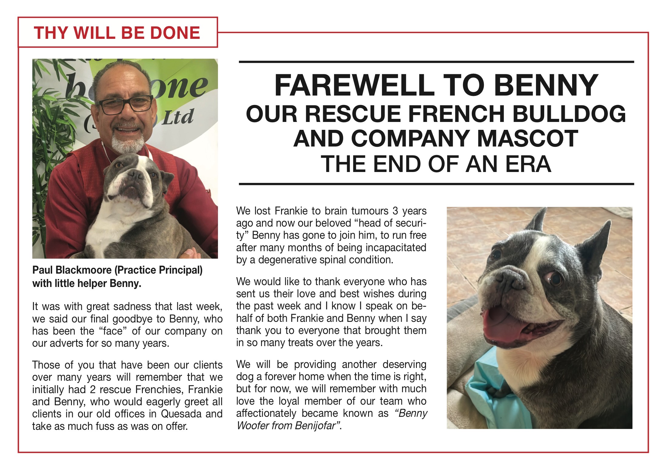 Farewell to Benny, the Thy Will Be Done rescue French Bulldog and company mascot